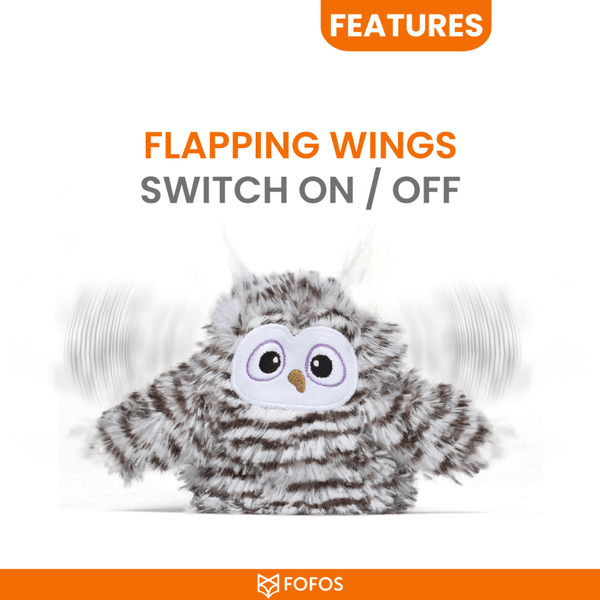 FOFOSFlappingOwl3-455509.png