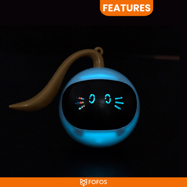 FOFOSTumblercattoy61-267297.png