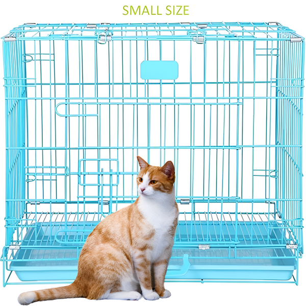 Frame106723591_5065c09b-c4fa-49cf-a831-08c5424e8f2e.png