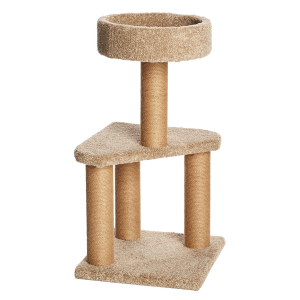 SAKTRStree_2ce0d3bf-b128-4e95-9048-1a7f63965da4.png