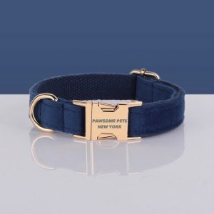 PAWSOME DOG COLLAR - #28