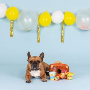 Pack Your Bags Hide & Seek Interactive Dog Toys