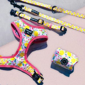 BUNDLE - OH MY LEMON (4 PIECES)