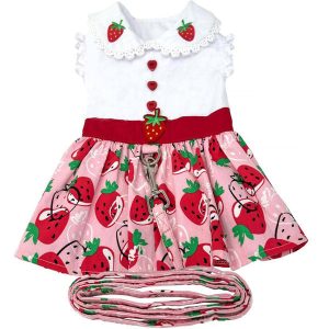 Strawberry Picnic Dog Harness Dress w/ Matching Leash