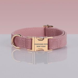 PAWSOME DOG COLLAR - #12
