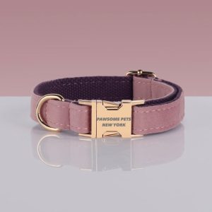 PAWSOME DOG COLLAR - #13