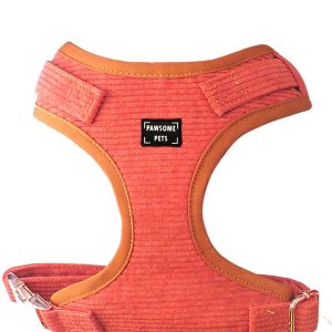 ADJUSTABLE HARNESS - CARROT