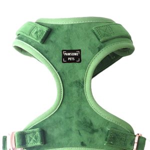 ADJUSTABLE HARNESS - CELESTE