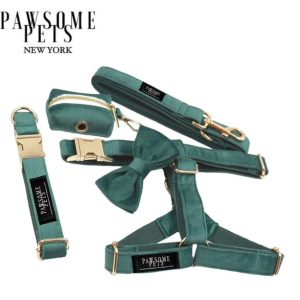 STEP IN BUNDLE - DARK GREEN (5 PIECES)