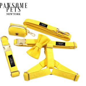 STEP IN BUNDLE - BRIGHT YELLOW (5 PIECES)