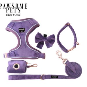 BUNDLE - PURPLE