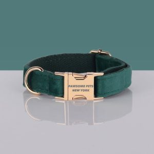 PAWSOME DOG COLLAR - #25