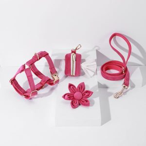 STEP IN FLORAL BUNDLE - ROSE PINK (4 pieces)