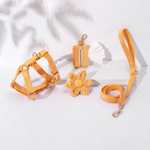 STEP IN FLORAL BUNDLE - LIGHT ORANGE(4 pieces)