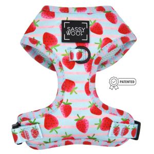 I Woof You Berry Much (Fruits) Light Blue & Pink Adjustable Dog Harness