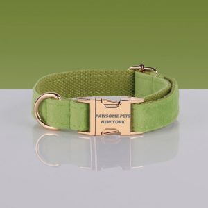 PAWSOME DOG COLLAR - #7