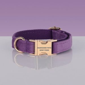 PAWSOME DOG COLLAR - #22