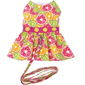 Citrus Slices Fruity Colorful Dog Harness Dress w/ Matching Leash