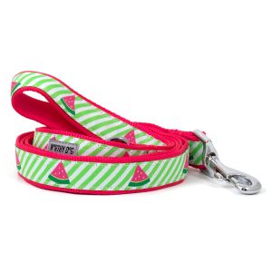 Green Stripe Watermelon Dog Leash - 2 Sizes